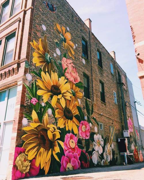 whitefireprincess:Ouizi Mural, Chicago | Jenny Lam 
