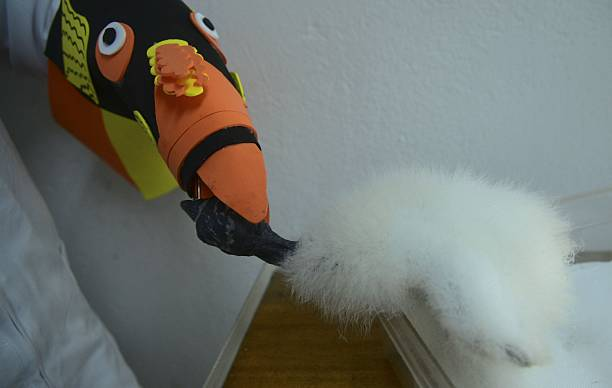 pom-seedss:  awkward-teabag:  pom-seedss:  nightjarring: I REALLY love the puppets