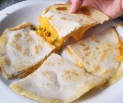 fatty-food:Quesadilla (by Breanna Schulze)