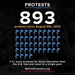 justice4mikebrown:  June 4, 2015 marked 300