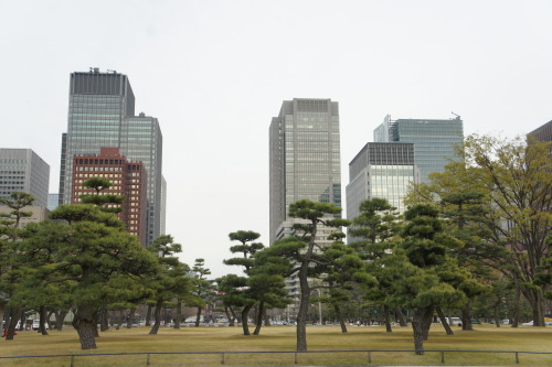 the imperial palace area