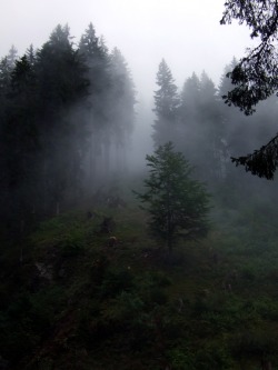 radivs:  Descending Fog by AnoraAlia