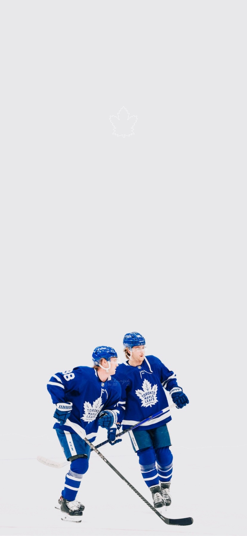 Wallpaper Wednesday: William Nylander Edition - TheLeafsNation