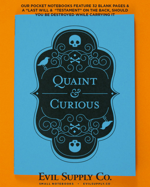 Quaint &amp; Curious small notebook ($2.25)Once upon a midnight dreary, I sat lost in memory, tr