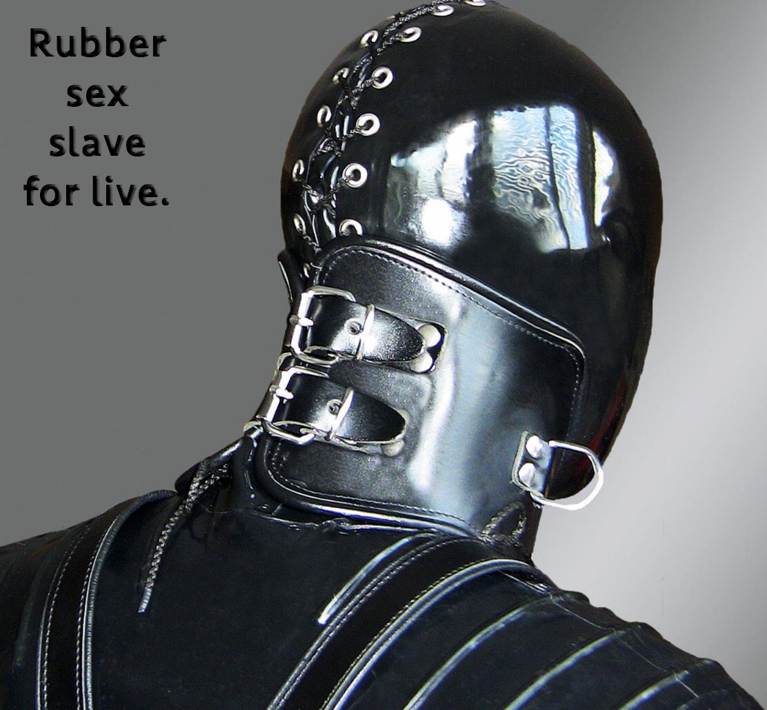 Leather K-9