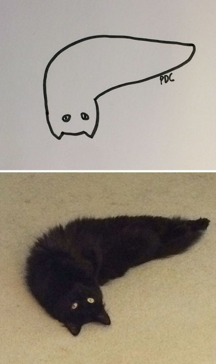 archiemcphee: Some might says that Brazilian artist Heloisa is really bad at drawing cats, but when 