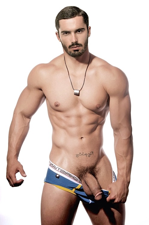 Male of the world