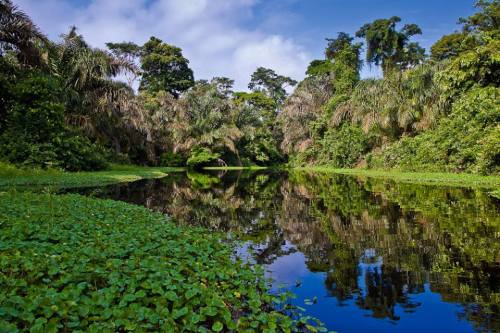 brazilwonders: Amazon (by International Traveller)