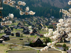 -cityoflove:  Shirakawa-go, Japan via SBA73