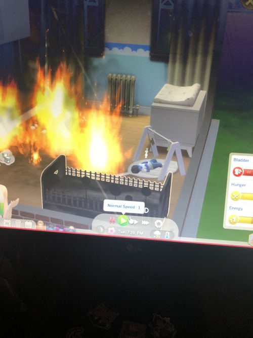 When They Ask How Life Is Going