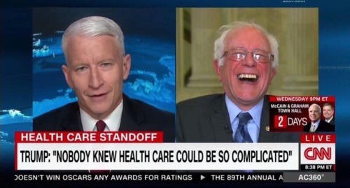 im bernie