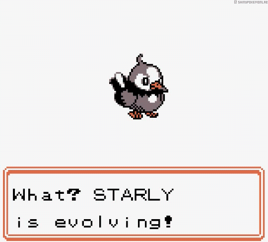 Nintendo GIFs