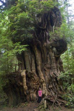 Sexsavestheday: Another Burst Of Nature Porn. Opticallyaroused:  Olympic National