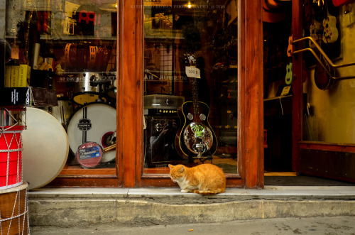 Istanbul, Turkey #3photo by Kirienko Roman (romanophoto.tumblr.com)