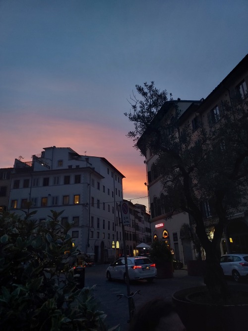 Florence In Summer