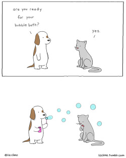 lizclimo:  what a good boy.