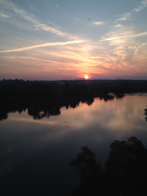 Didn’t sleep on the train. Bummer. But that allowed me to catch the sunrise so here - have some lovely sunrise photos from near Redding, CA.