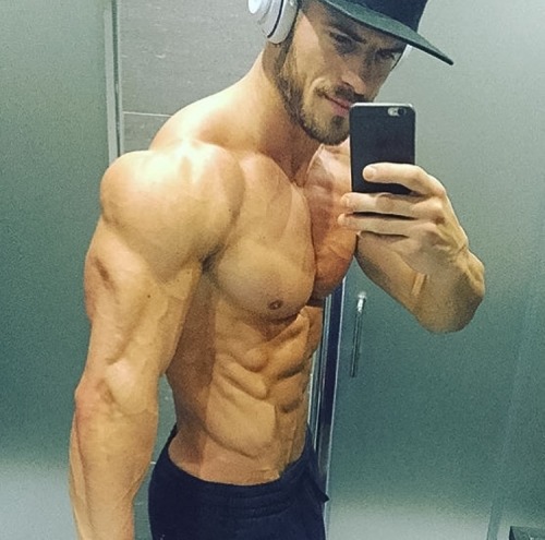 Adonis Files