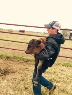 showyourcattle:  Until one has loved an animal,