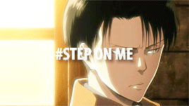 wingsoffuckingfreedom:  Levi Ackerman + Tumblr Tags 