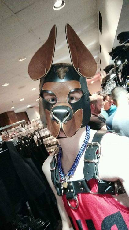 pup-rolo: The fun I got to have in Chicago *Woof!*