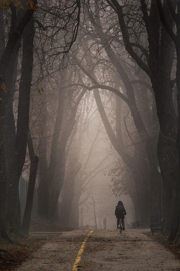 blogblogblooog:  Path by matejsnopek   17/12/13