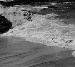 grouchosmarx:  Favourite Classic Films (in no particular order)From Here to Eternity (1953), dir. Fred Zinnemann  Nobody ever lies about being lonely. 