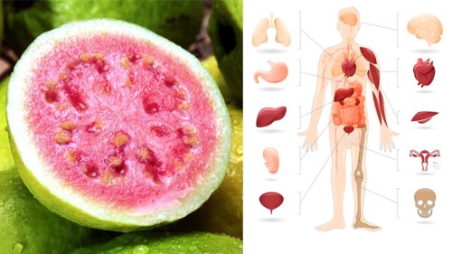 Ya Guava Be Kidding Me.
