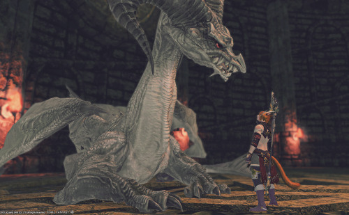 Nice talk with beautiful dragon lady~