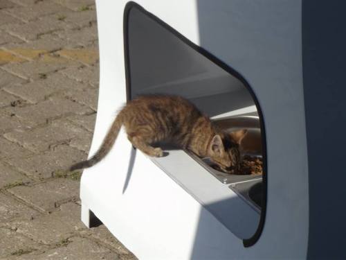 mymodernmet:Turkish company Pugedon recently introduced an ingenious recycling box that’s an innovat