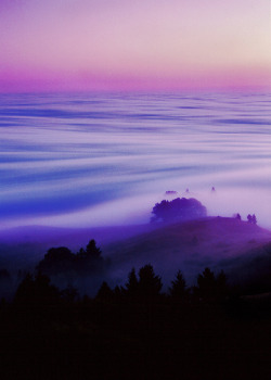 4nimalparty:  film on mount tam (by caalo10)