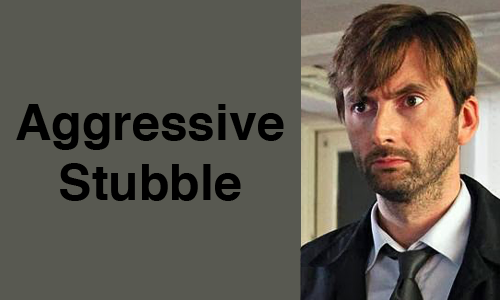 allrightfine:  The Stages of David Tennant’s Facial Hair.(the most important post I will ever make.)