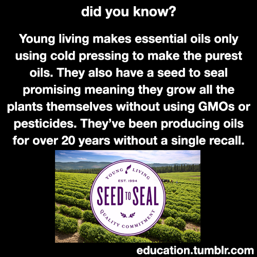 wespikeloveus: lifeisgoldenforfree:  bisexualgodess16:  education: Learn More About