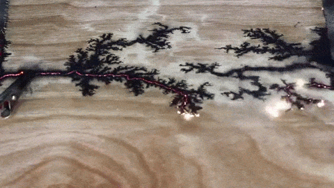 thefrozenrose:  sixpenceee:  In this video lichtenburg figures are burned into wood