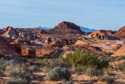 desert-stuff:Valley of Fire State Park, Nevada 40 minutes north of Vegas.