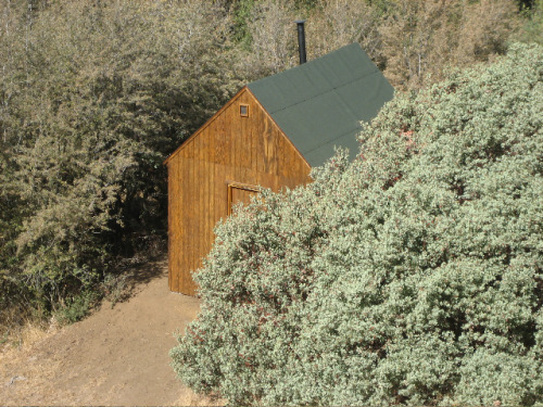 melissem: Ted Kaczynski Cabin (part of Two porn pictures