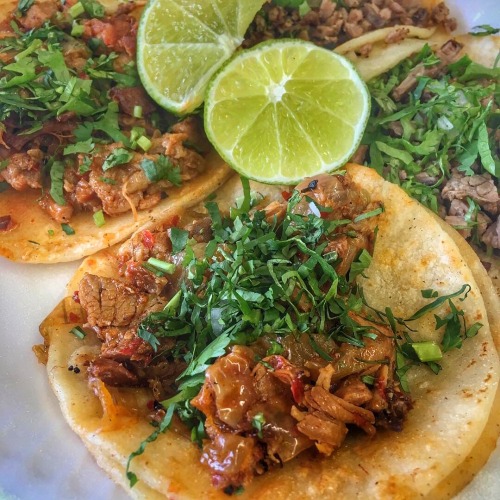 Sex everybody-loves-to-eat:STREET TACOS pictures