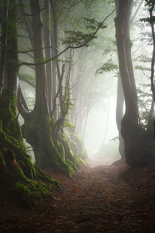 sublim-ature:  Allier, FranceFlorent Courty