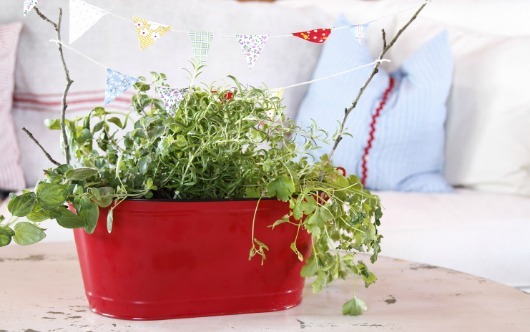 Three easy, small herb garden ideas
You can create a clever herb garden that takes up very little space.