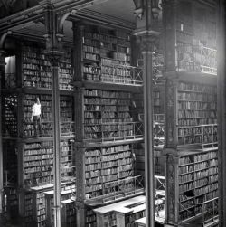 anotherbondiblonde:  A man browsing for books in Cincinnati’s cavernous old main library. The library was demolished in 1955.