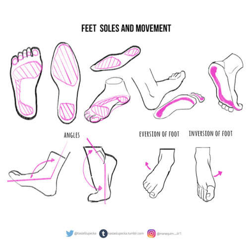 art-res:kasiaslupecka:Weekly anatomy tip!This week I tackle feet. I know how many of you asked for i