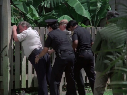 Hawaii Five-O (TV Series) - S8/E9 ’Retire in Sunny Hawaii… Forever’ (1975)Charles Durning as 