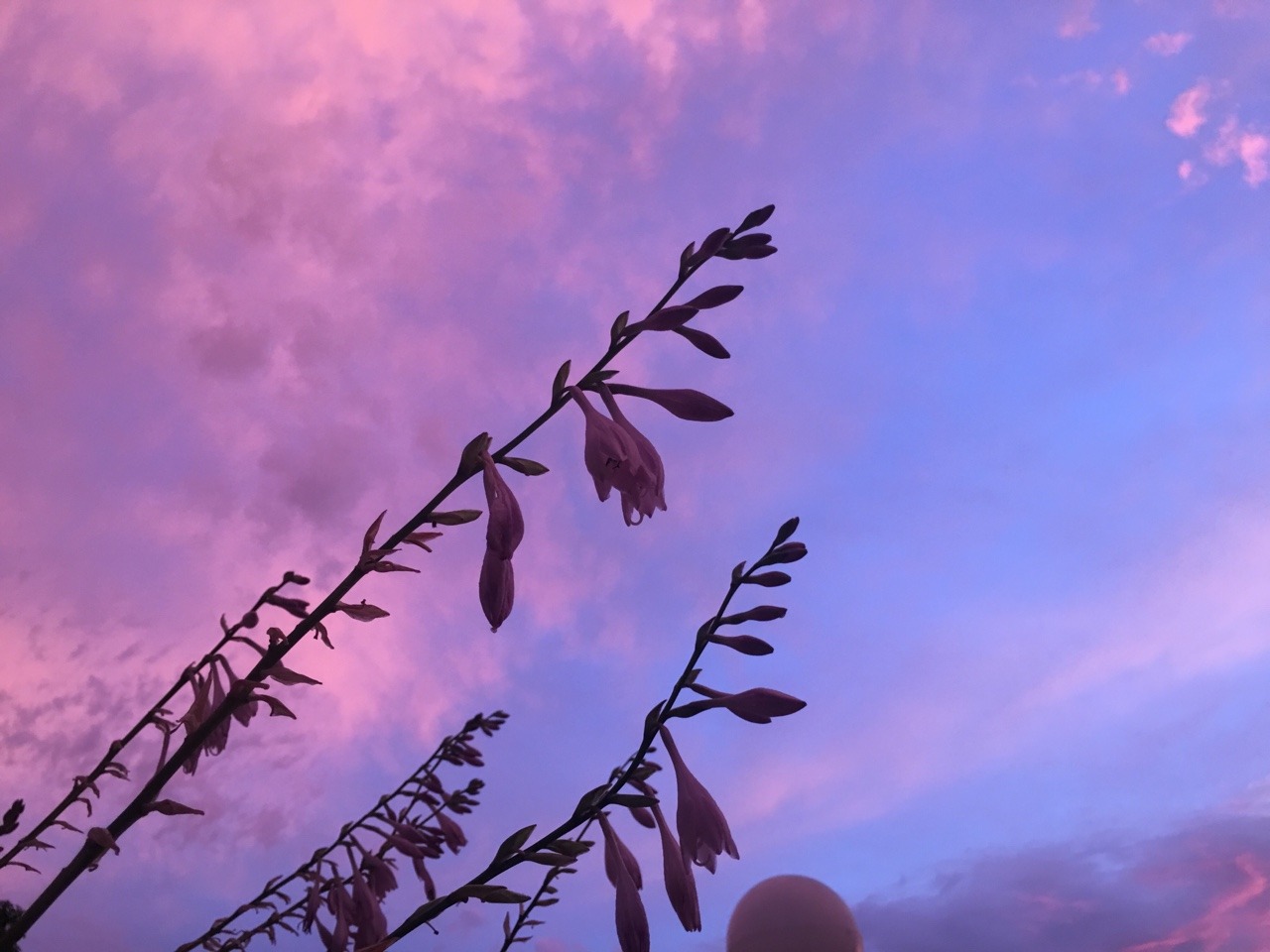 cardinalofsin:    Beautiful morning You’re the sun in my morning babe Nothing unwanted