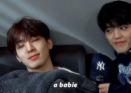 softwonwoo:a guide to wonwoo↳ happy birthday to our amazing wonwoo!!!#HAPPYWONWOODAY#달빛보다_예쁜_원우야_생일축
