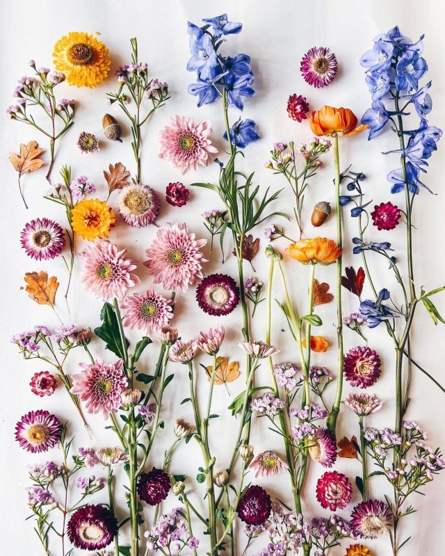 fleur-aesthetic:instagram | birgittetheresa 