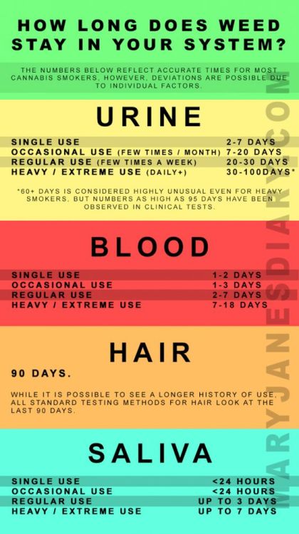 ganjatraincollector - How long does weed stay in your system?