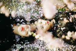 Vvolare:ren Hang