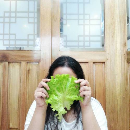 Do i have a small face or the lettuce is just plain HUGE?! #koreanfood