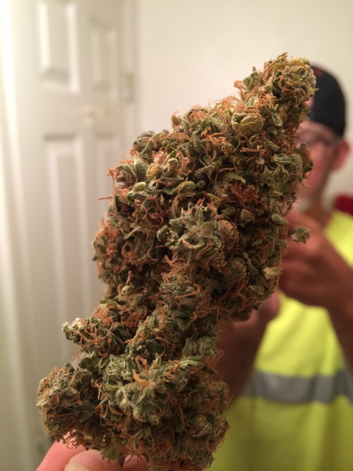 str8&ndash;beauty&ndash;: Grown by a friend