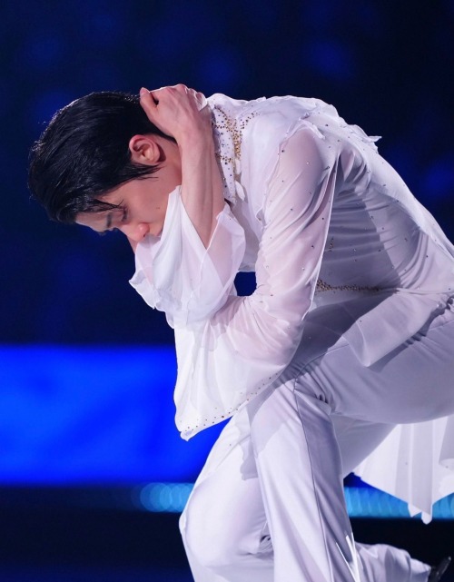 Have You Ever Witnessed Something So Profoundly Beautiful That It Actually Wounds You, But Then Seeps